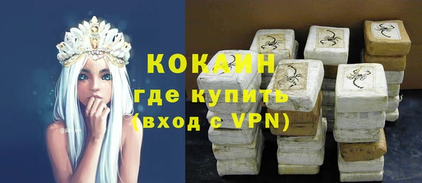 твердый Богданович
