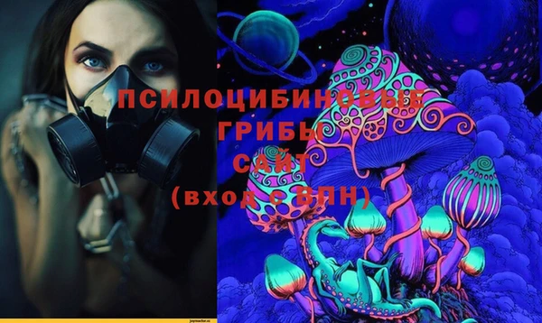 СК Богородск