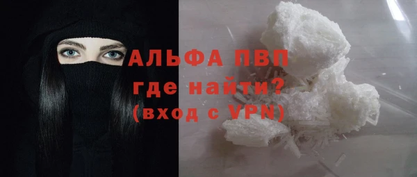 твердый Богданович