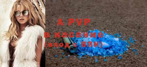 твердый Богданович