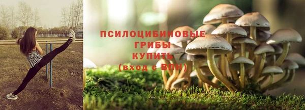 скорость mdpv Богородицк